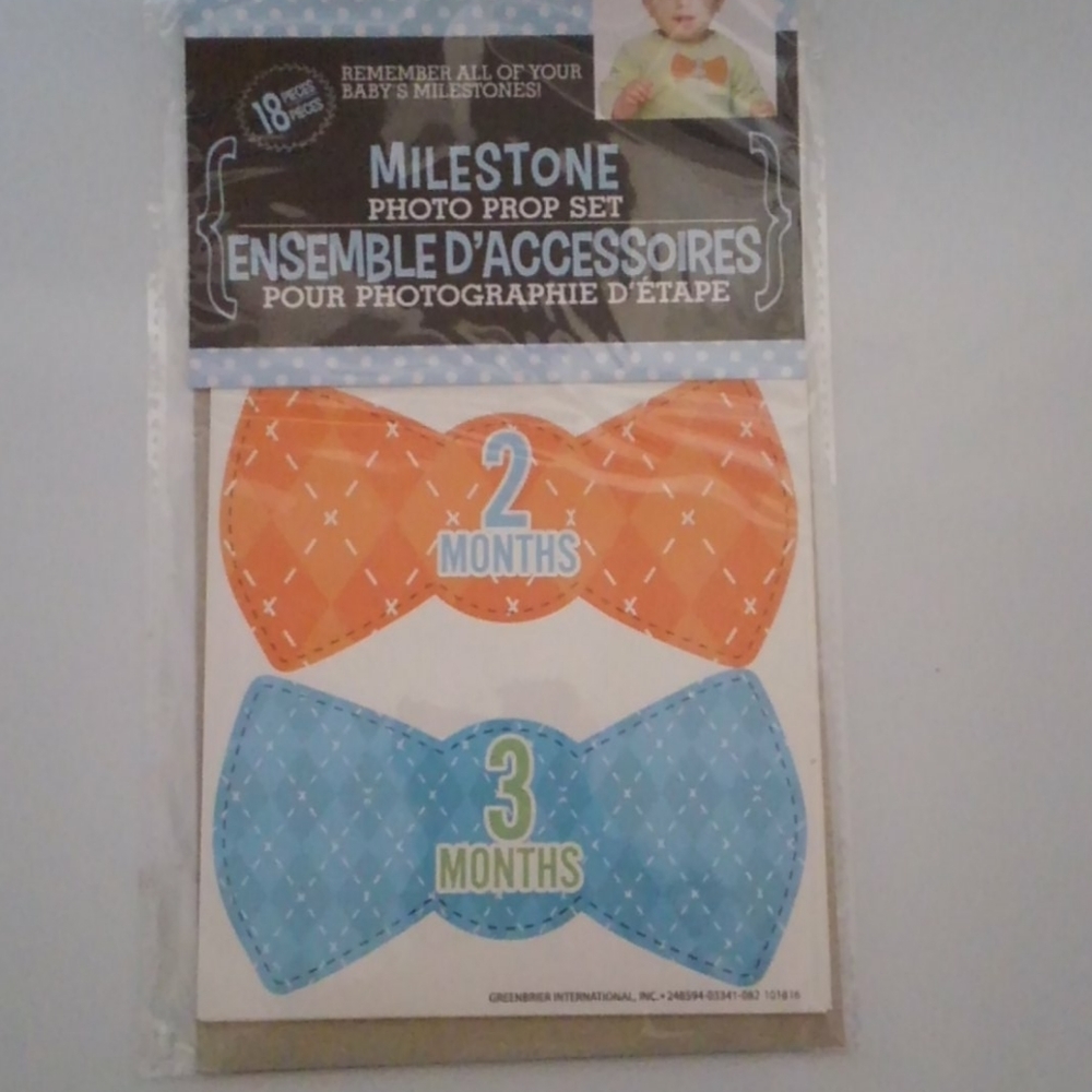 Baby Milestone Photo Prop Set